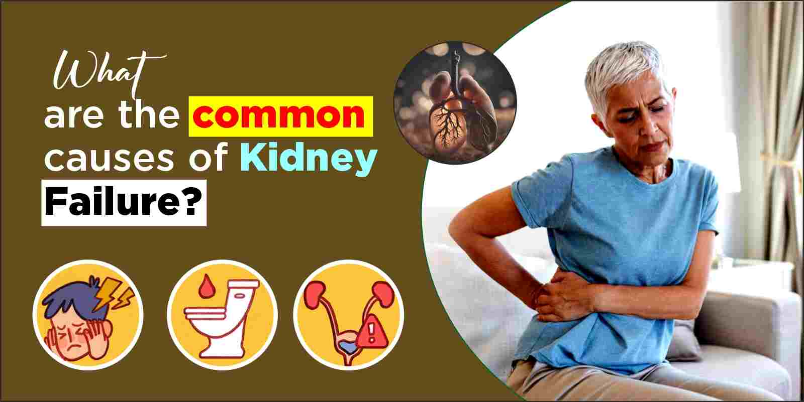 What are the common causes of kidney failure?